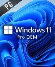 Visualisation du logo Windows 11